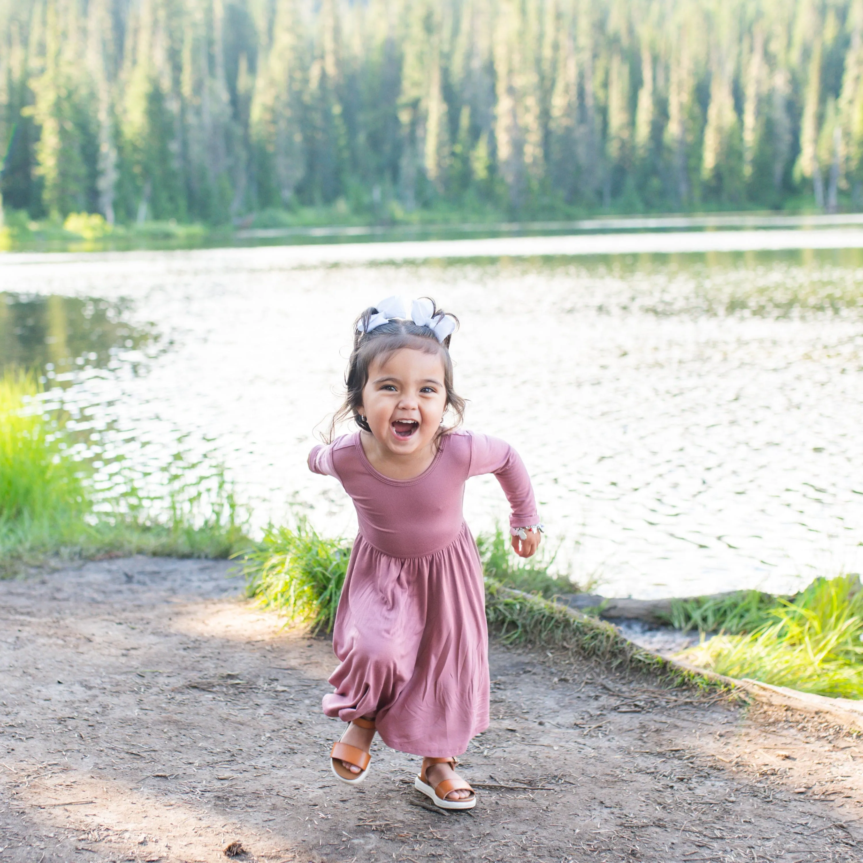 Long Sleeve Twirl Dress in Dusty Rose